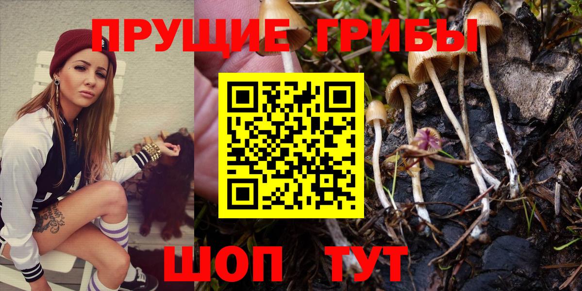 Татарск  где купить наркоту  Вход с VPN  Галлюциногенные грибы GOLDEN TEACHER 