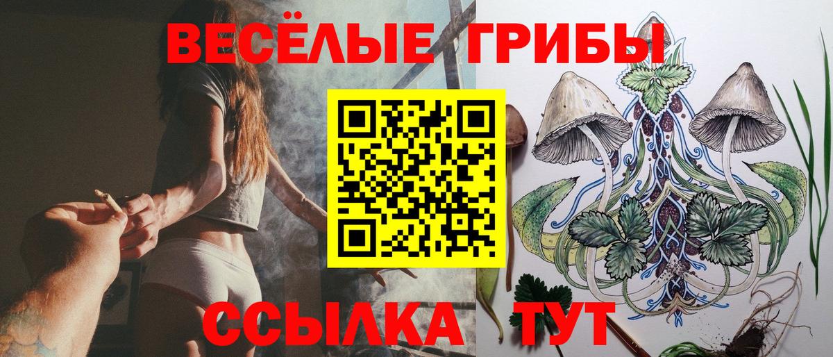 Галлюциногенные грибы GOLDEN TEACHER Татарск